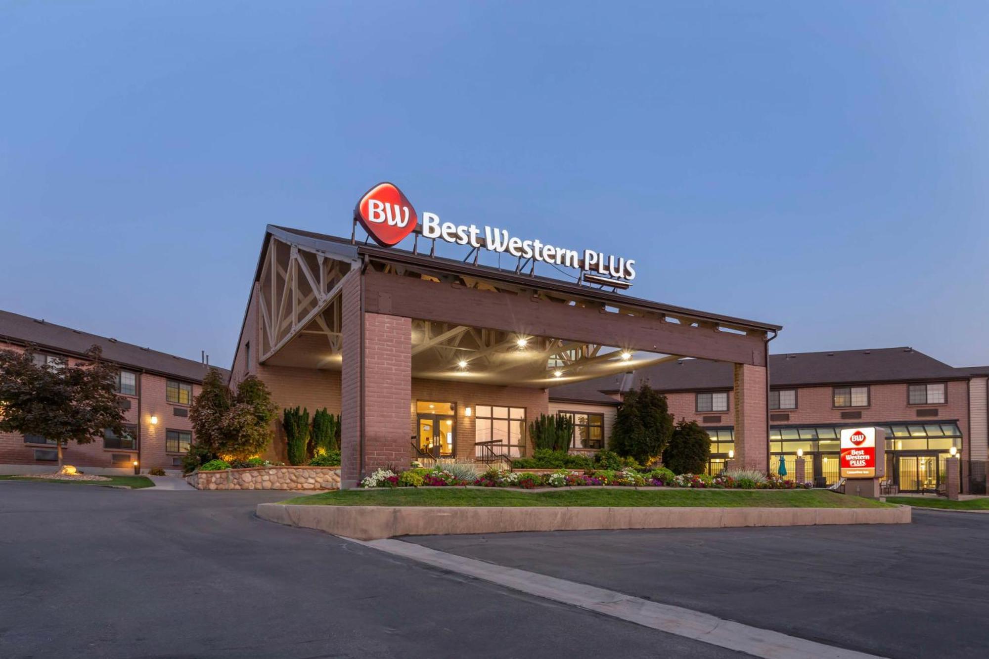 Western Cotton Tree 3*