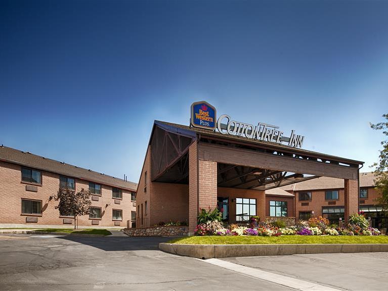 Hotel Western Cotton Tree 3*