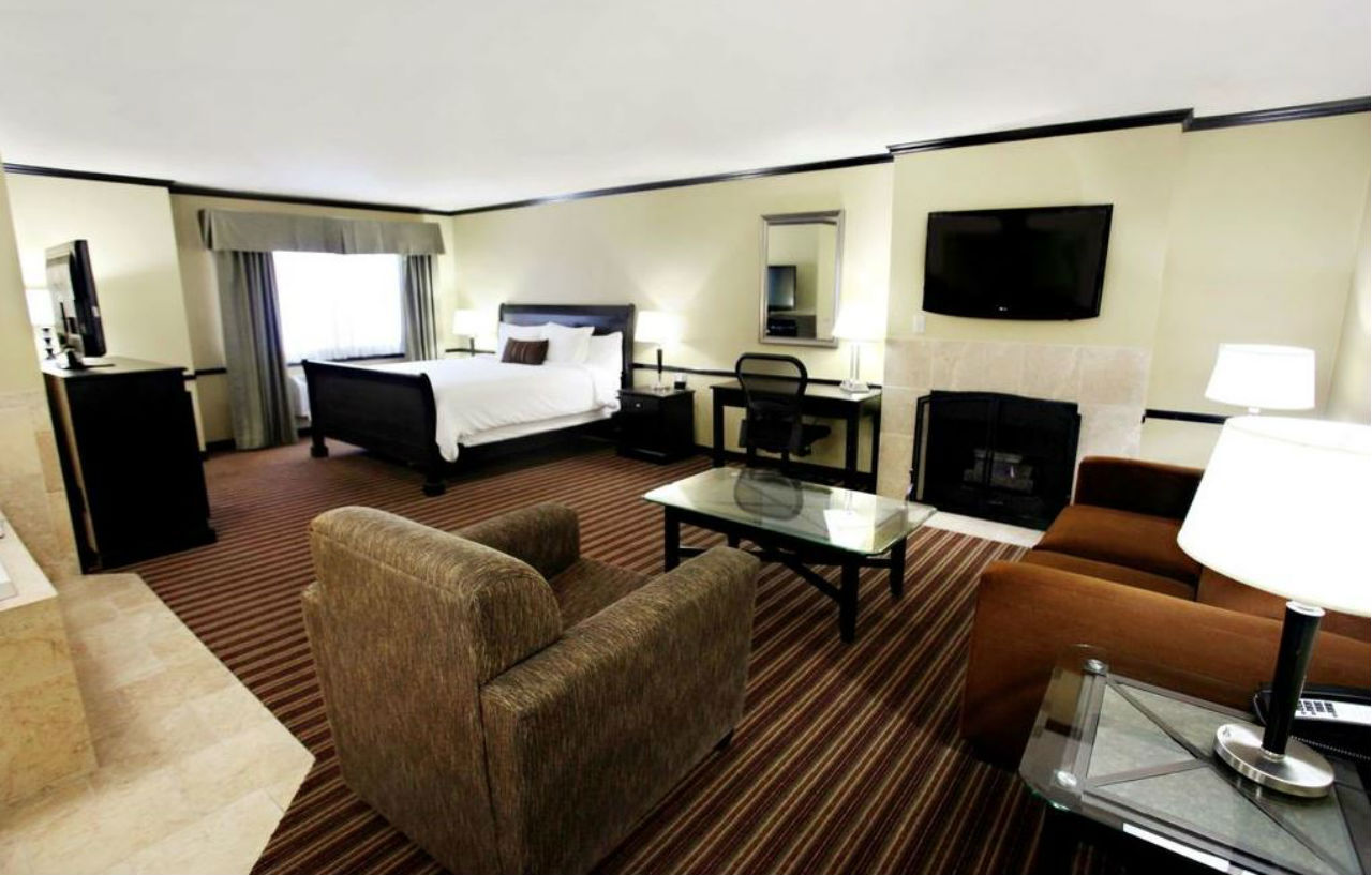 Western Cotton Tree 3*