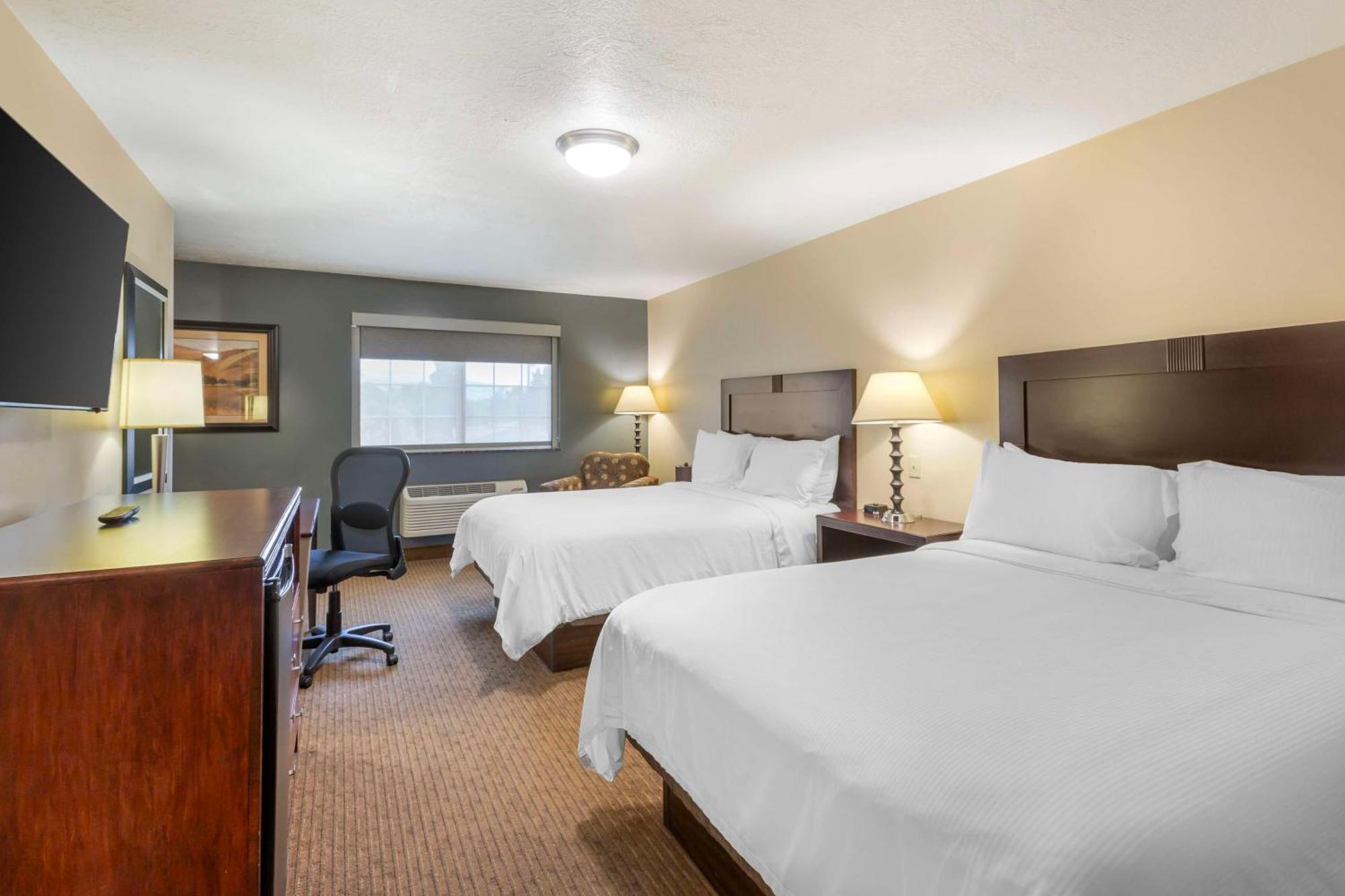 Western Cotton Tree 3*
