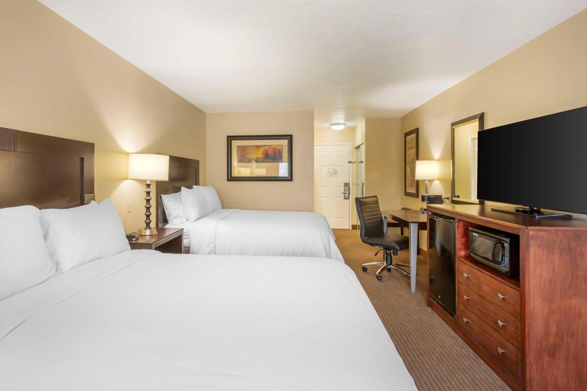 Western Cotton Tree 3*